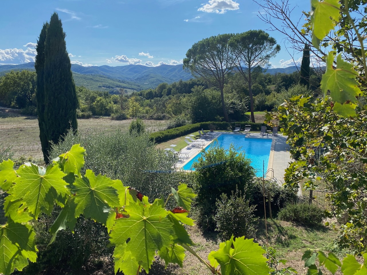 La Ceruglia Character